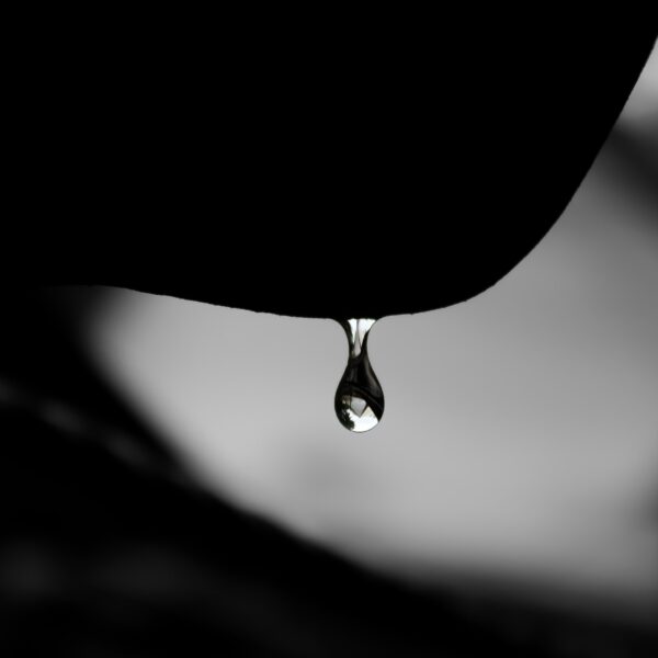 macro shot of water drop